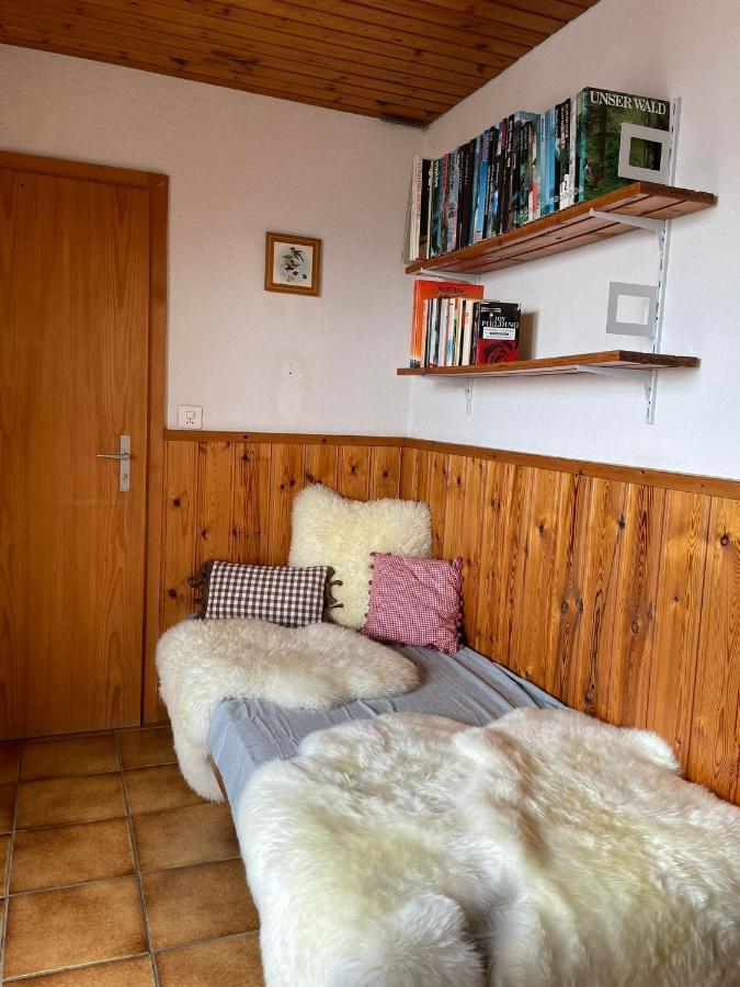 Gemuetliche Wohnung Mit Traumaussicht! Albinen Extérieur photo